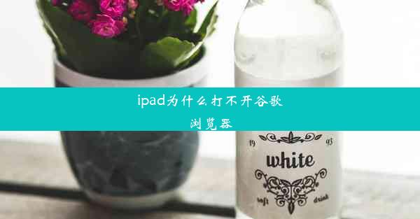 ipad为什么打不开谷歌浏览器