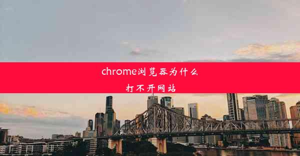 chrome浏览器为什么打不开网站