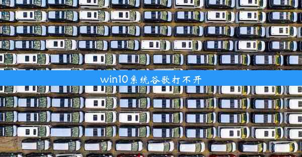 win10系统谷歌打不开