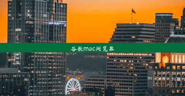 谷歌mac浏览器