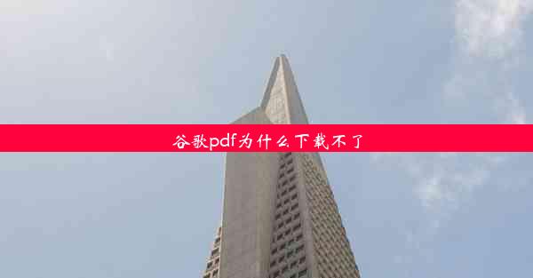 谷歌pdf为什么下载不了