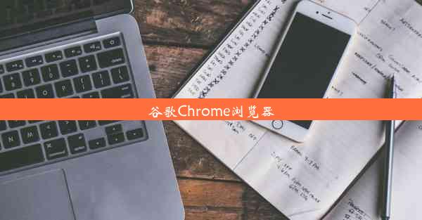 谷歌Chrome浏览器