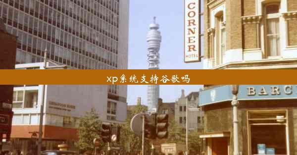 xp系统支持谷歌吗