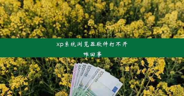 xp系统浏览器软件打不开咋回事