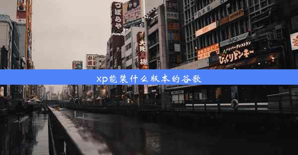 xp能装什么版本的谷歌