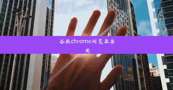 谷歌chrome浏览器禁用