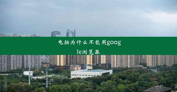 电脑为什么不能用google浏览器