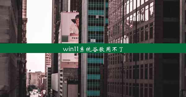 win11系统谷歌用不了