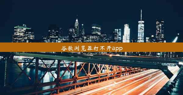 谷歌浏览器打不开app