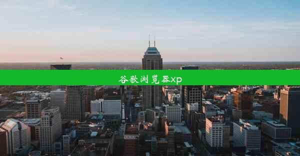 谷歌浏览器xp