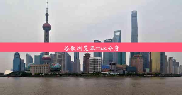 谷歌浏览器mac分身