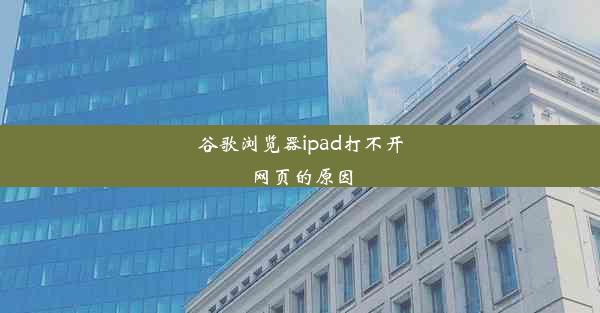 谷歌浏览器ipad打不开网页的原因