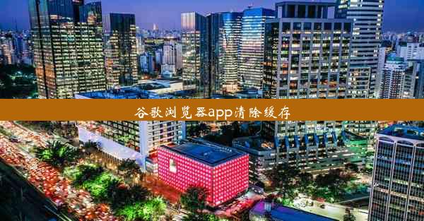 谷歌浏览器app清除缓存