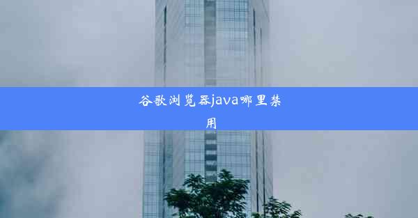 谷歌浏览器java哪里禁用