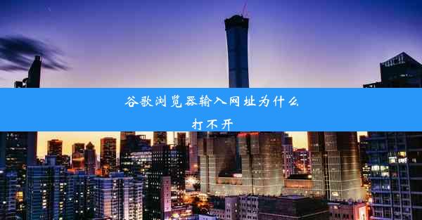 谷歌浏览器输入网址为什么打不开