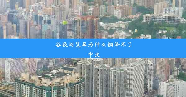 谷歌浏览器为什么翻译不了中文