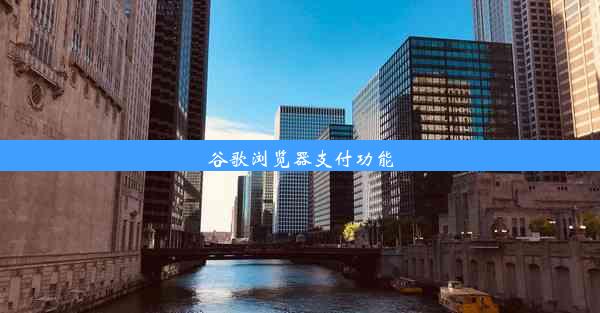 谷歌浏览器支付功能