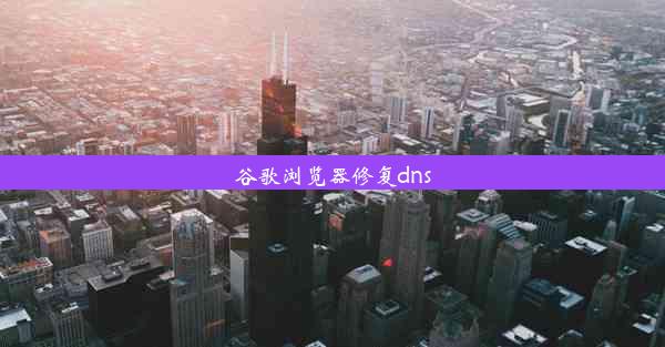 谷歌浏览器修复dns