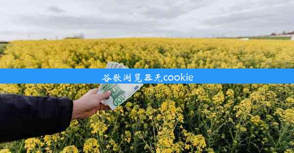 谷歌浏览器无cookie