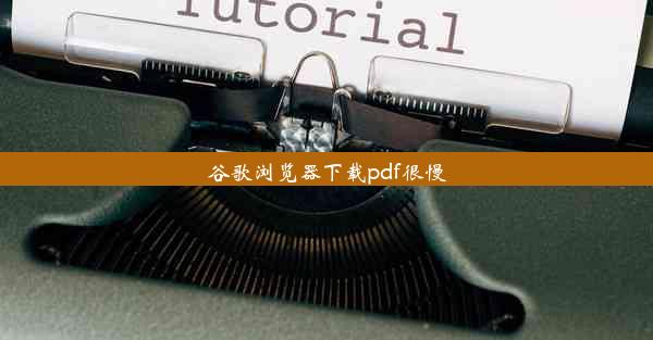 谷歌浏览器下载pdf很慢