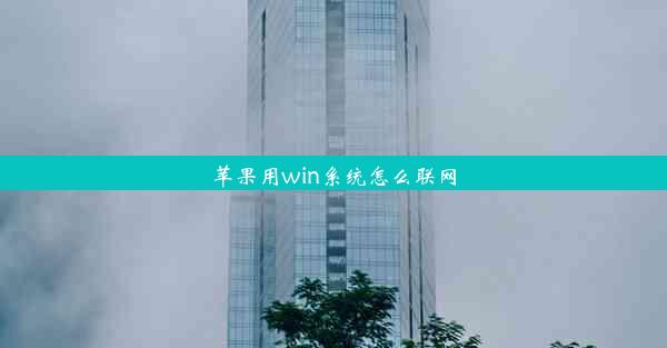 苹果用win系统怎么联网