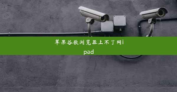 苹果谷歌浏览器上不了网ipad