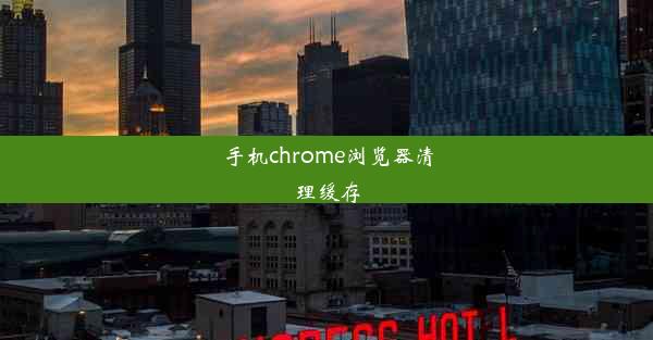 手机chrome浏览器清理缓存