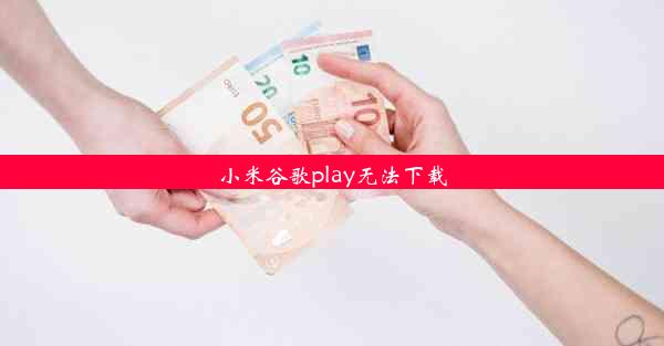 小米谷歌play无法下载