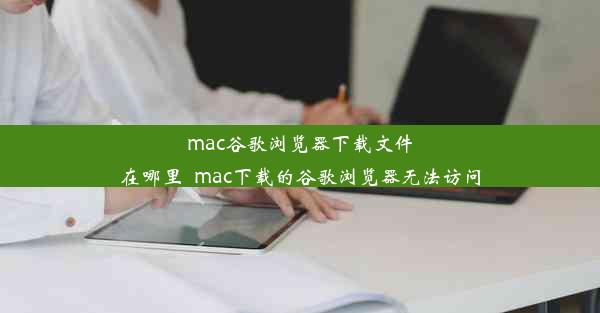 mac谷歌浏览器下载文件在哪里_mac下载的谷歌浏览器无法访问