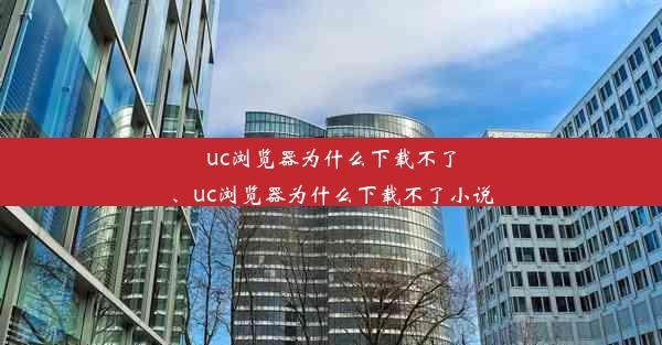 uc浏览器为什么下载不了、uc浏览器为什么下载不了小说