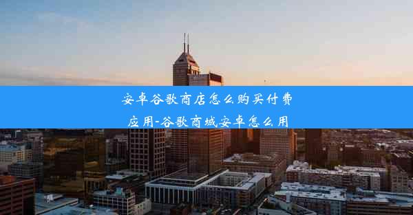 安卓谷歌商店怎么购买付费应用-谷歌商城安卓怎么用