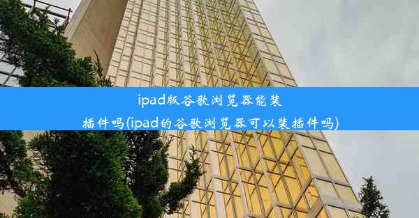 ipad版谷歌浏览器能装插件吗(ipad的谷歌浏览器可以装插件吗)