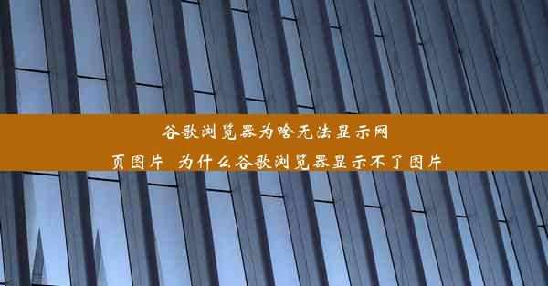 谷歌浏览器为啥无法显示网页图片_为什么谷歌浏览器显示不了图片