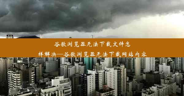 谷歌浏览器无法下载文件怎样解决—谷歌浏览器无法下载网站内容