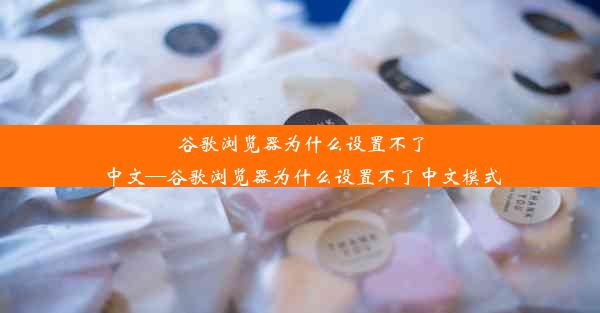 谷歌浏览器为什么设置不了中文—谷歌浏览器为什么设置不了中文模式