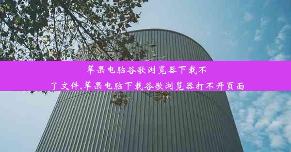 苹果电脑谷歌浏览器下载不了文件,苹果电脑下载谷歌浏览器打不开页面