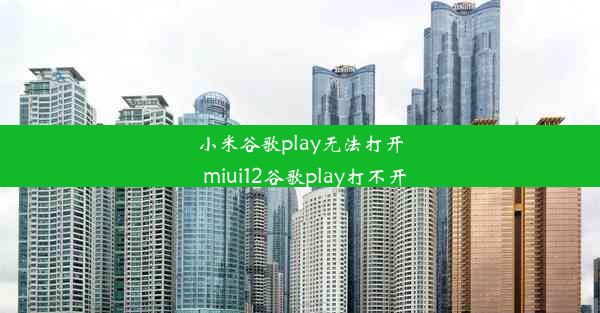 小米谷歌play无法打开_miui12谷歌play打不开