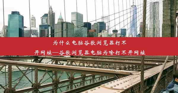 为什么电脑谷歌浏览器打不开网址—谷歌浏览器电脑为啥打不开网址