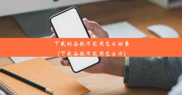 下载的谷歌不能用怎么回事(下载谷歌不能用怎么办)