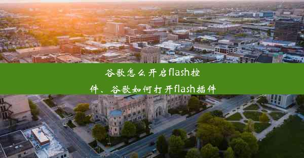 谷歌怎么开启flash控件、谷歌如何打开flash插件