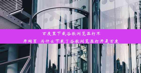 百度里下载谷歌浏览器打不开网页_为什么下载了谷歌浏览器打开是百度