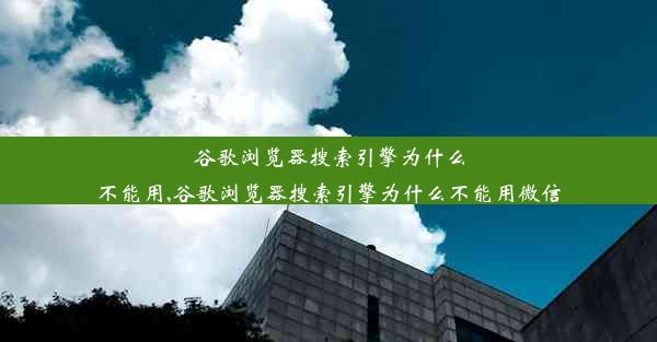 谷歌浏览器搜索引擎为什么不能用,谷歌浏览器搜索引擎为什么不能用微信