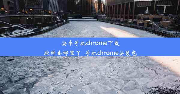 安卓手机chrome下载软件去哪里了_手机chrome安装包