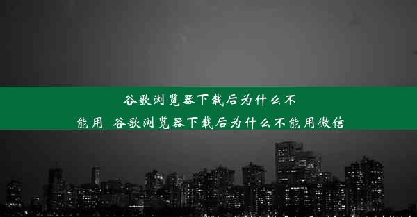 谷歌浏览器下载后为什么不能用_谷歌浏览器下载后为什么不能用微信