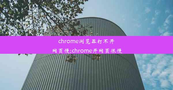 chrome浏览器打不开网页慢;chrome开网页很慢