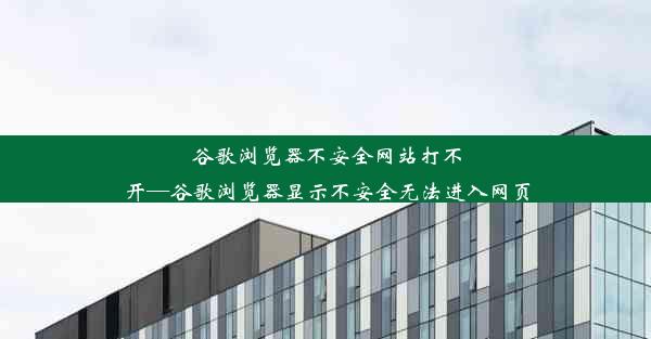 谷歌浏览器不安全网站打不开—谷歌浏览器显示不安全无法进入网页