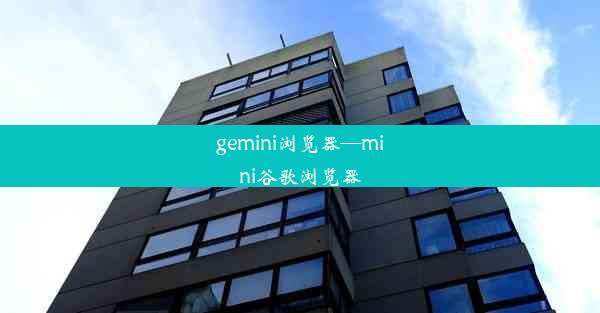 gemini浏览器—mini谷歌浏览器