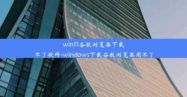 win11谷歌浏览器下载不了软件-windows下载谷歌浏览器用不了