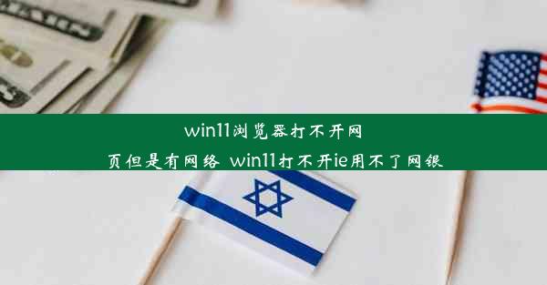 win11浏览器打不开网页但是有网络_win11打不开ie用不了网银