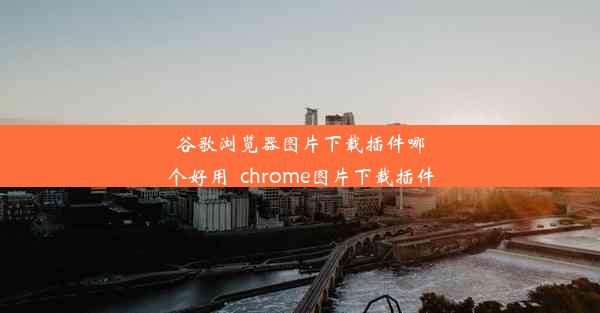 谷歌浏览器图片下载插件哪个好用_chrome图片下载插件